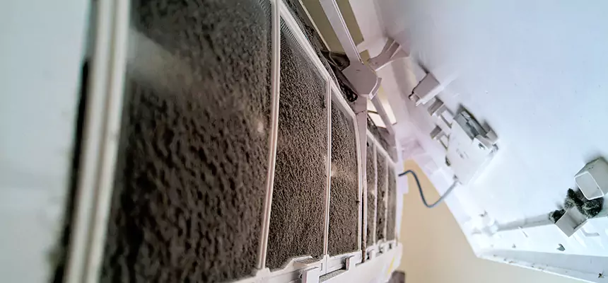 Preventive Air Duct Bacteria Removal in West Carson