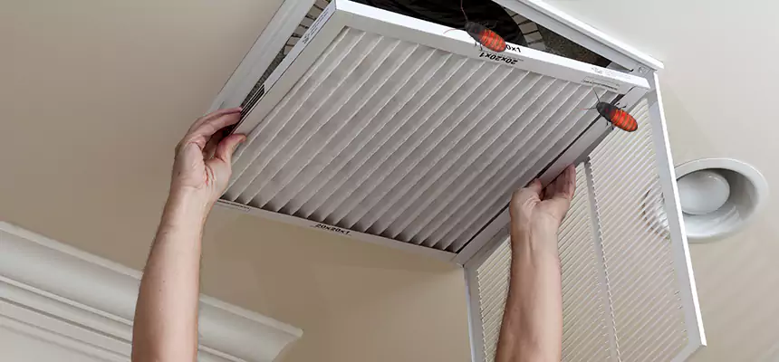 Preventive Cockroach-Proofing for Ducts in West Carson