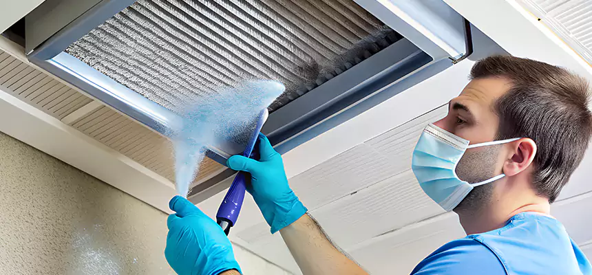 Proactive Dryer Vent & Auxiliary Duct Pollen Cleanup in West Carson, CA