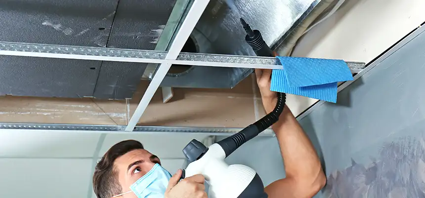 Our Air Duct Rodent Removal Services in West Carson, CA