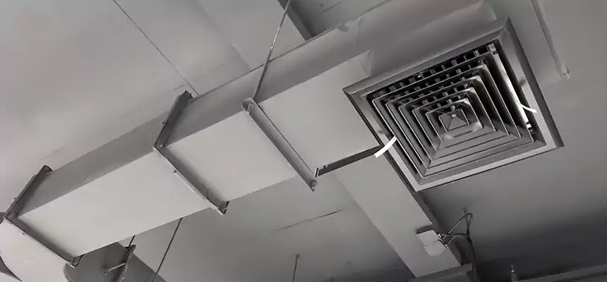 Restorative Allergy Relief Vent Cleaning – Coil, Blower & Housing Detail in West Carson