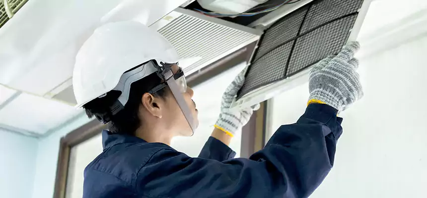 Our Mold & Mildew Removal from Air Ducts Services in West Carson, CA