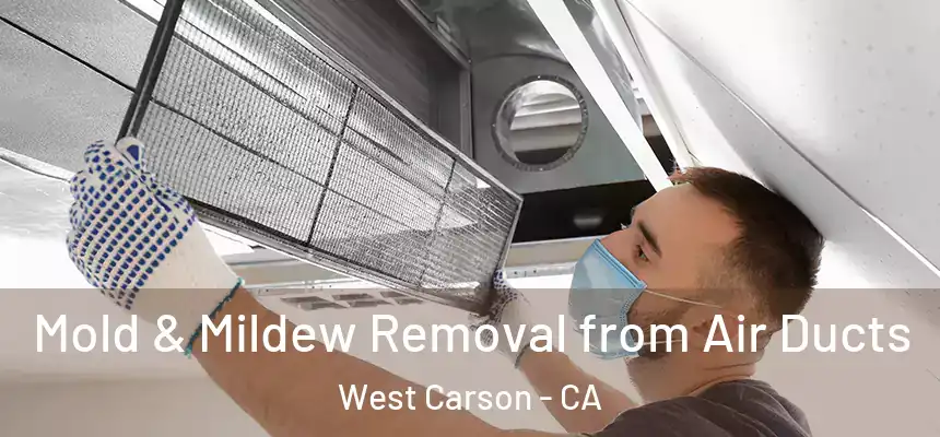 Mold & Mildew Removal from Air Ducts West Carson - CA