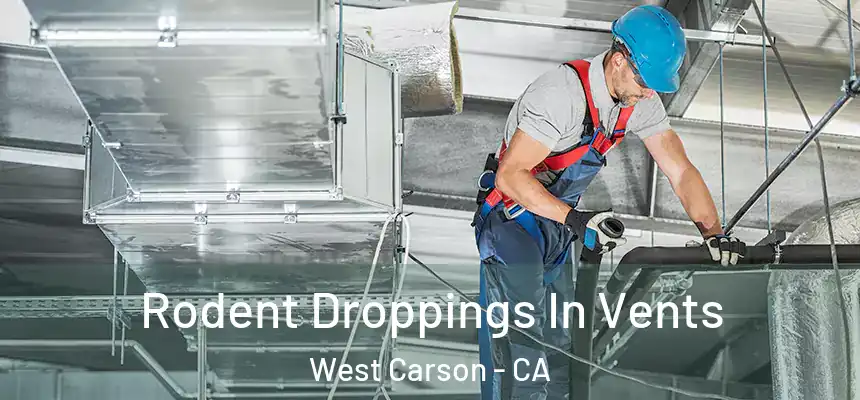  Rodent Droppings In Vents West Carson - CA