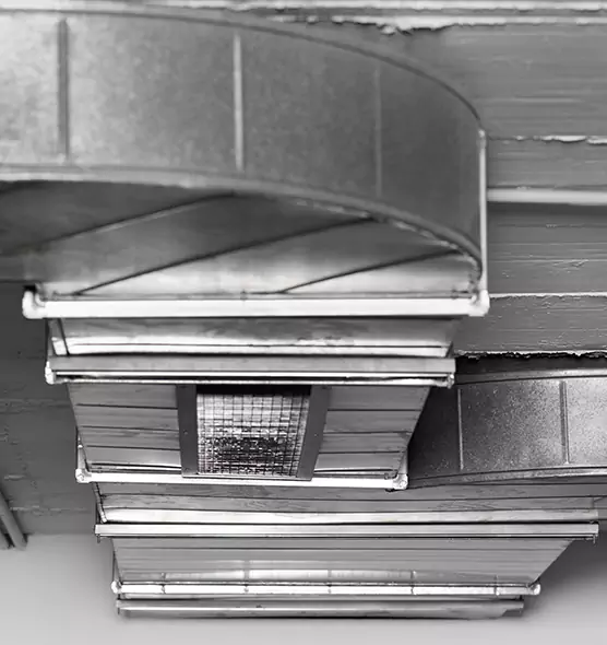 Professional Air Duct Pest Removal in West Carson, CA