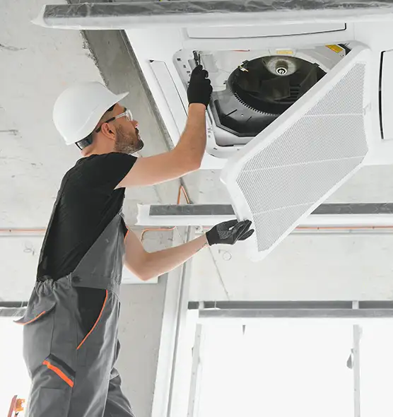 About Air Duct Rodent Removal in West Carson, CA