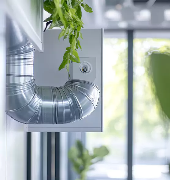 Professional Eco-Safe Dryer Vent Cleaning in West Carson, CA