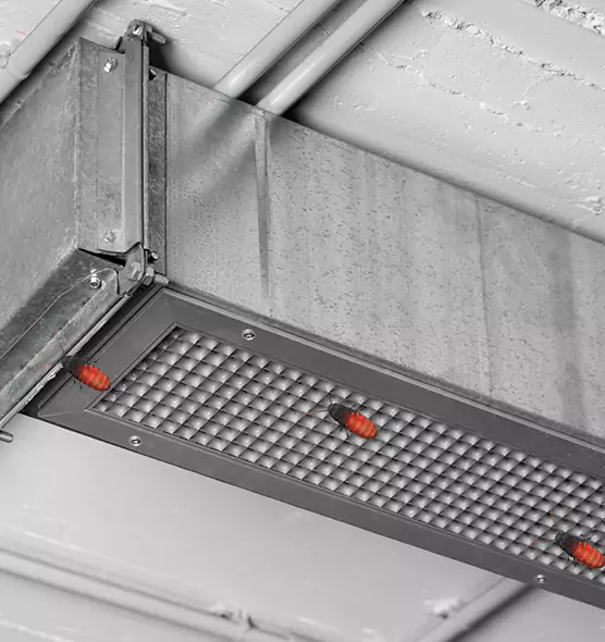 Affordable Insect Removal from Air Ducts in West Carson, CA