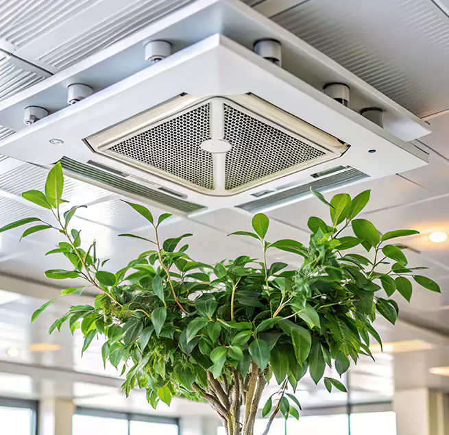 Why Homeowners & Businesses Trust Us in West Carson, CA