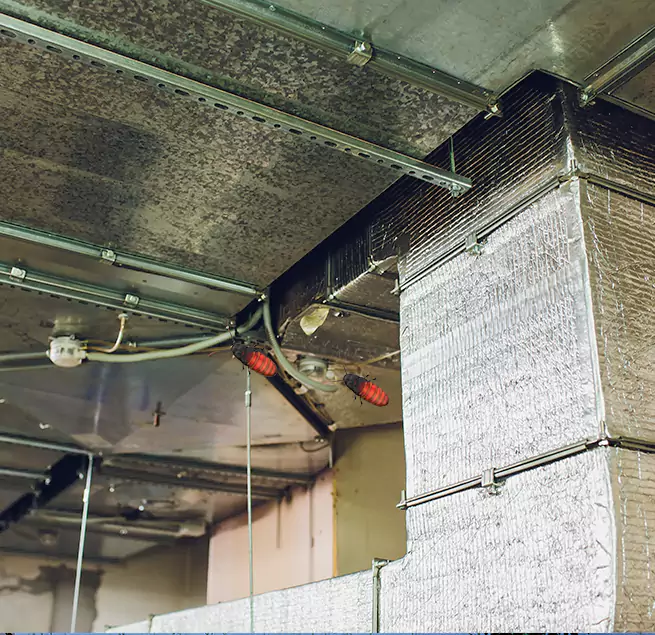 Why Homeowners & Businesses Trust Us West Carson, CA?