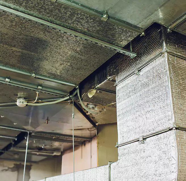 Why Homeowners & Businesses Trust Us in West Carson, CA?