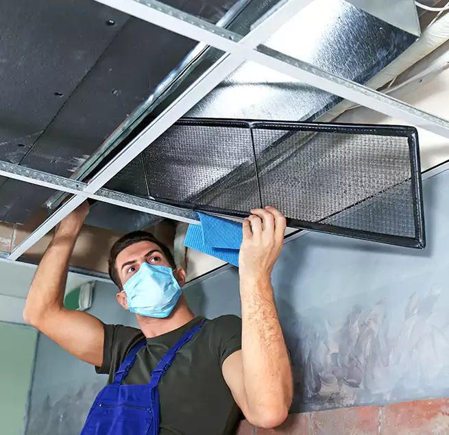 Why Homeowners Businesses Trust Us in West Carson, CA